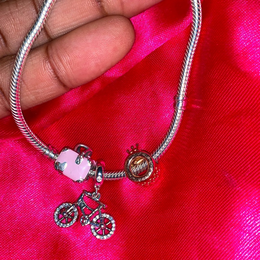 pandora charm bracelet